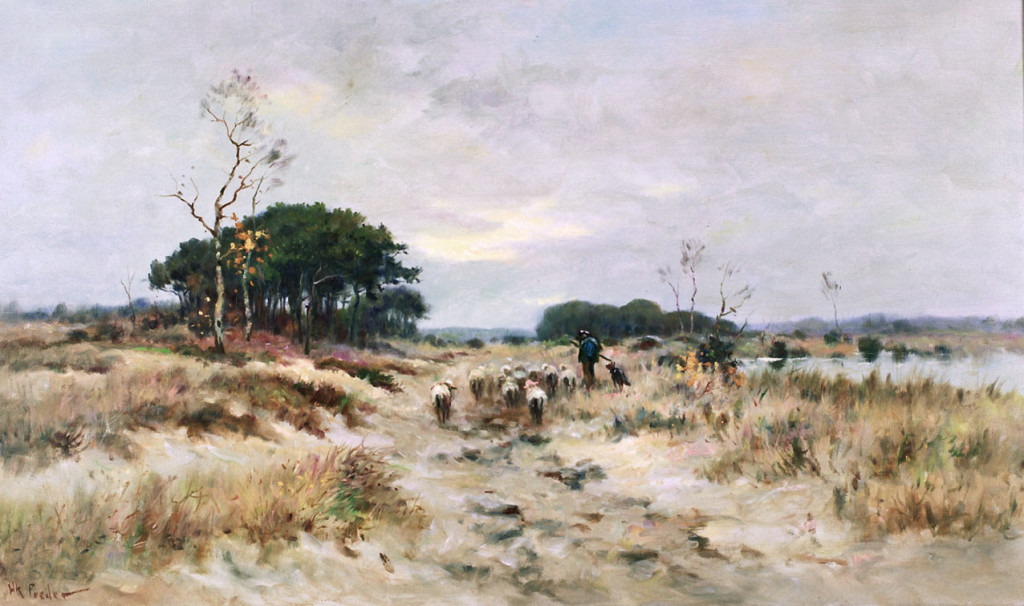 01-08 Drenthe schapen